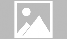 刘大锤最新爆料一线小花,一线小花背后的惊人真相