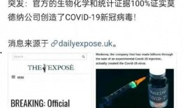 英国爆料病毒新闻最新版,病毒真相再掀波澜，专家解读病毒起源与传播新证据